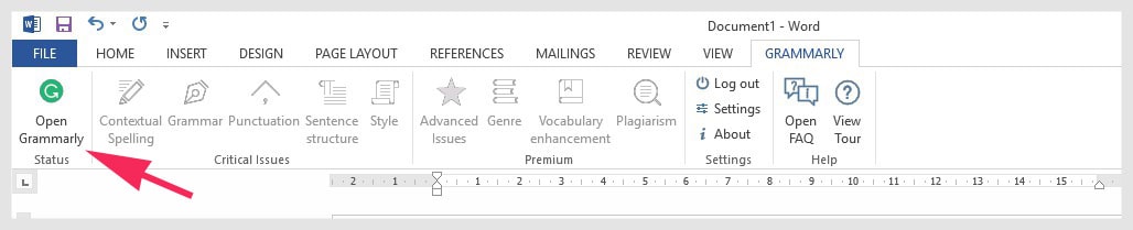 Grammarly Features